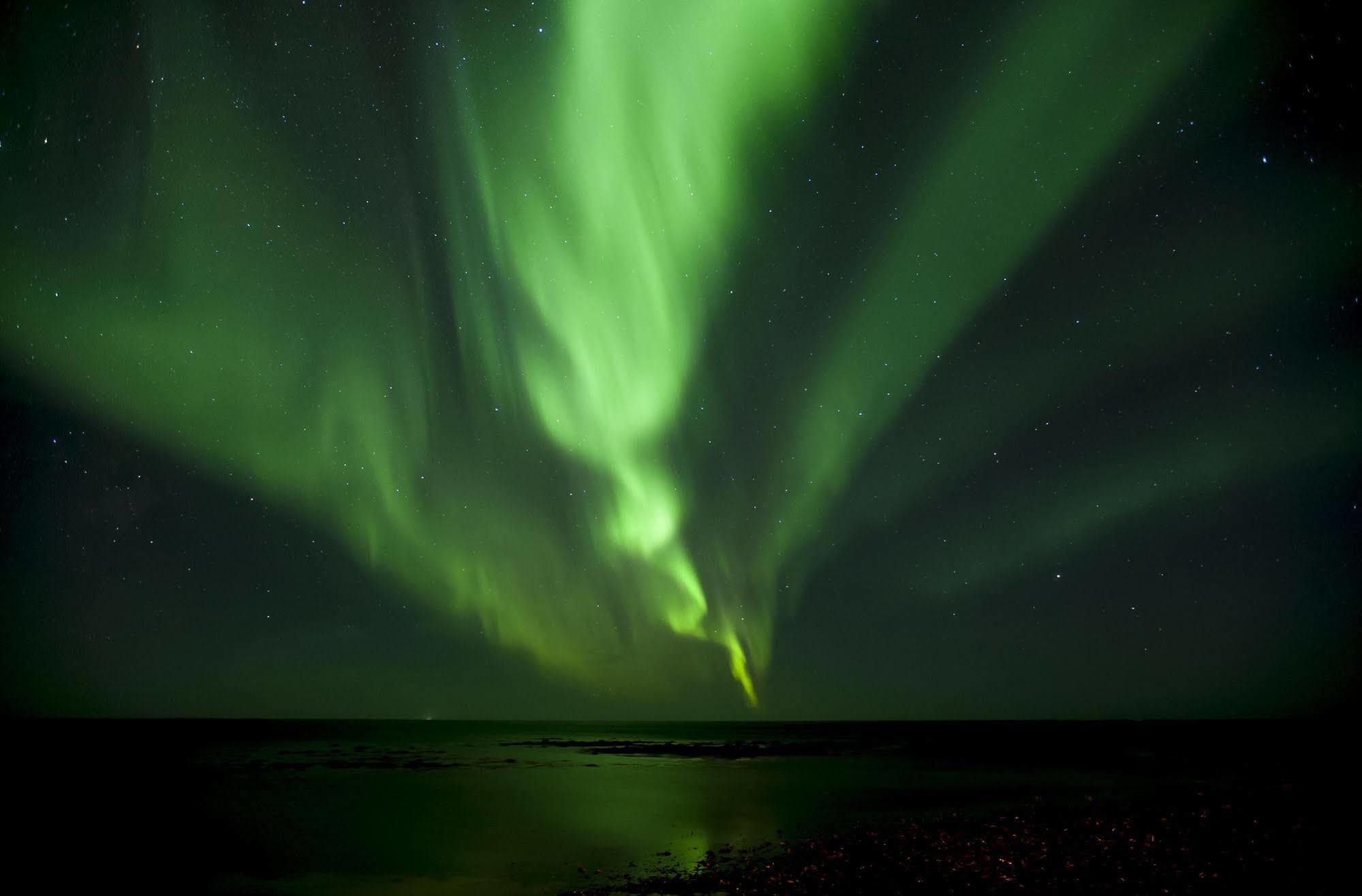 Tower Suites Reykjavik Bagian luar foto